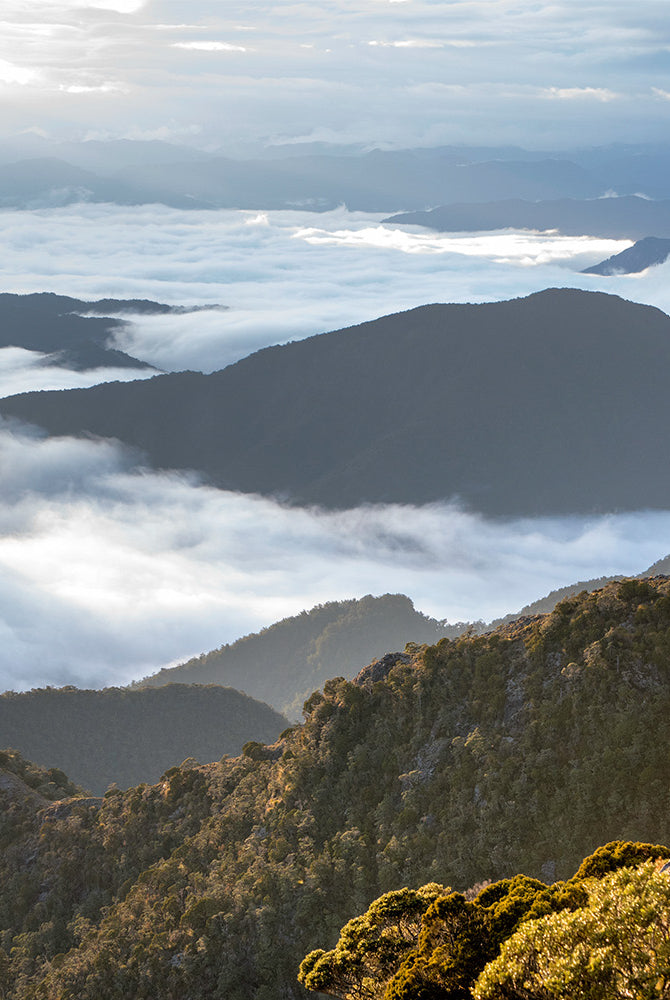 Breaking down our goals for 2024