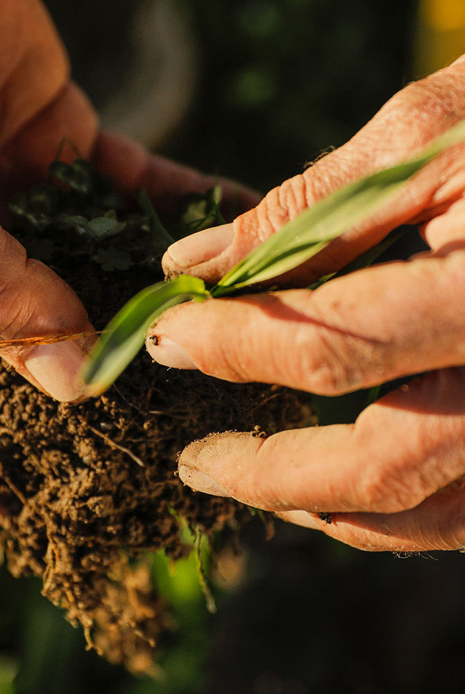 In our Calendar: Organic September 2024