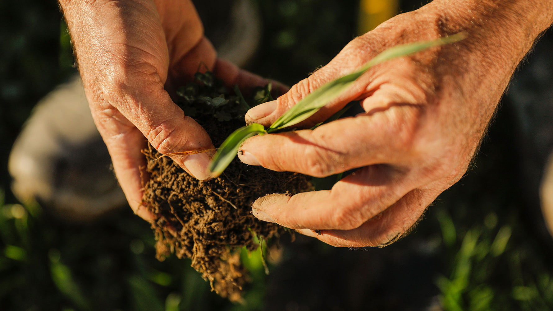 In our Calendar: Organic September 2024