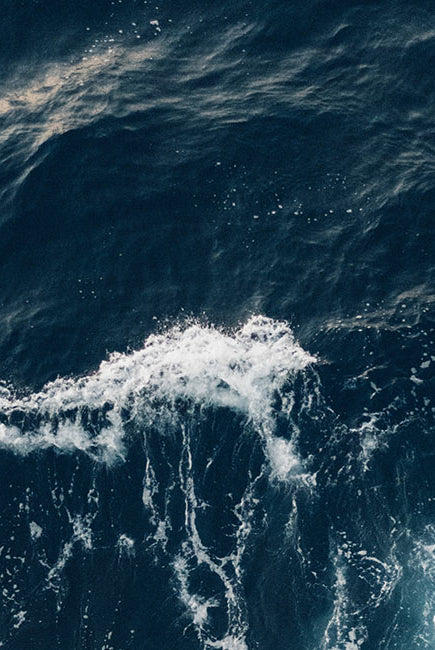 Microplastics in Fashion