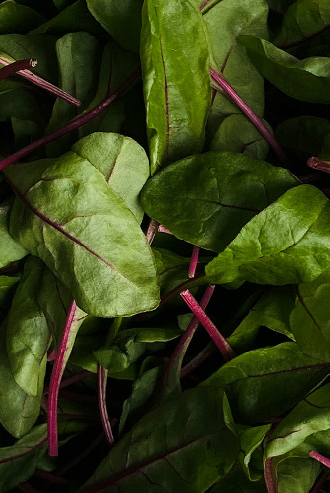 Seasonal Suppers: A Midwinter Menu