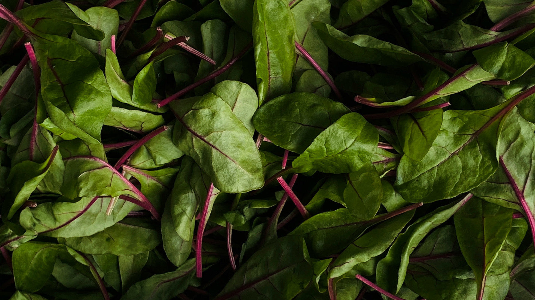 Seasonal Suppers: A Midwinter Menu