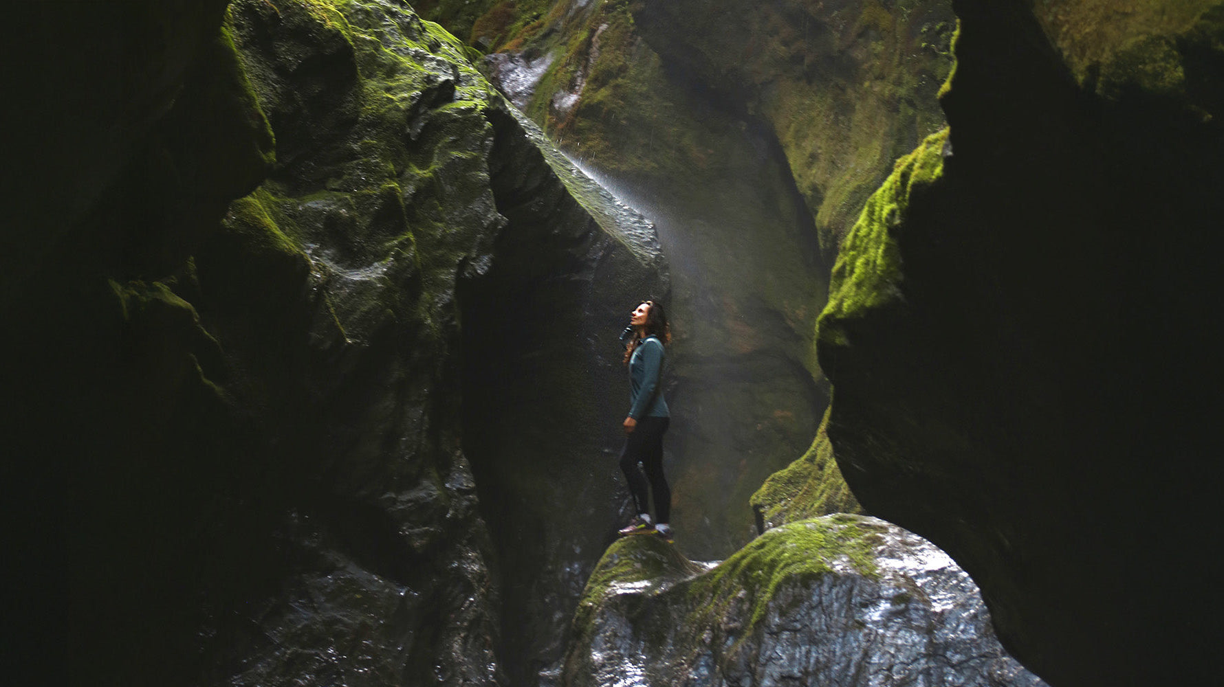 This Merino Survived Everything