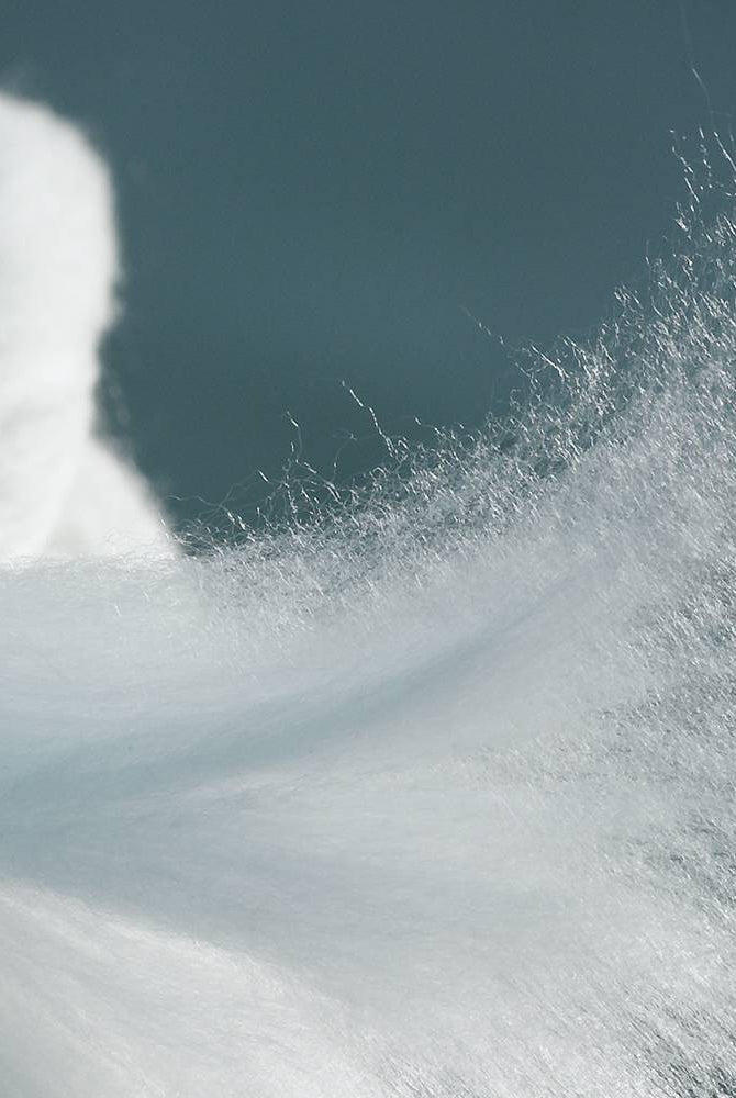 What could a sustainable fashion future look like?