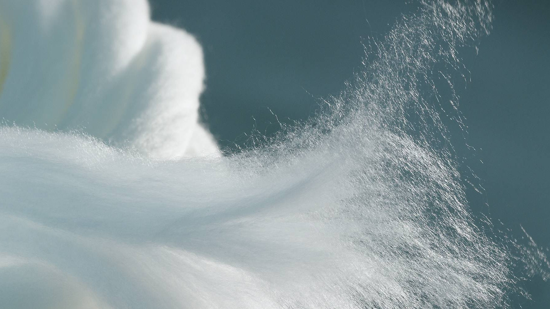 What could a sustainable fashion future look like?