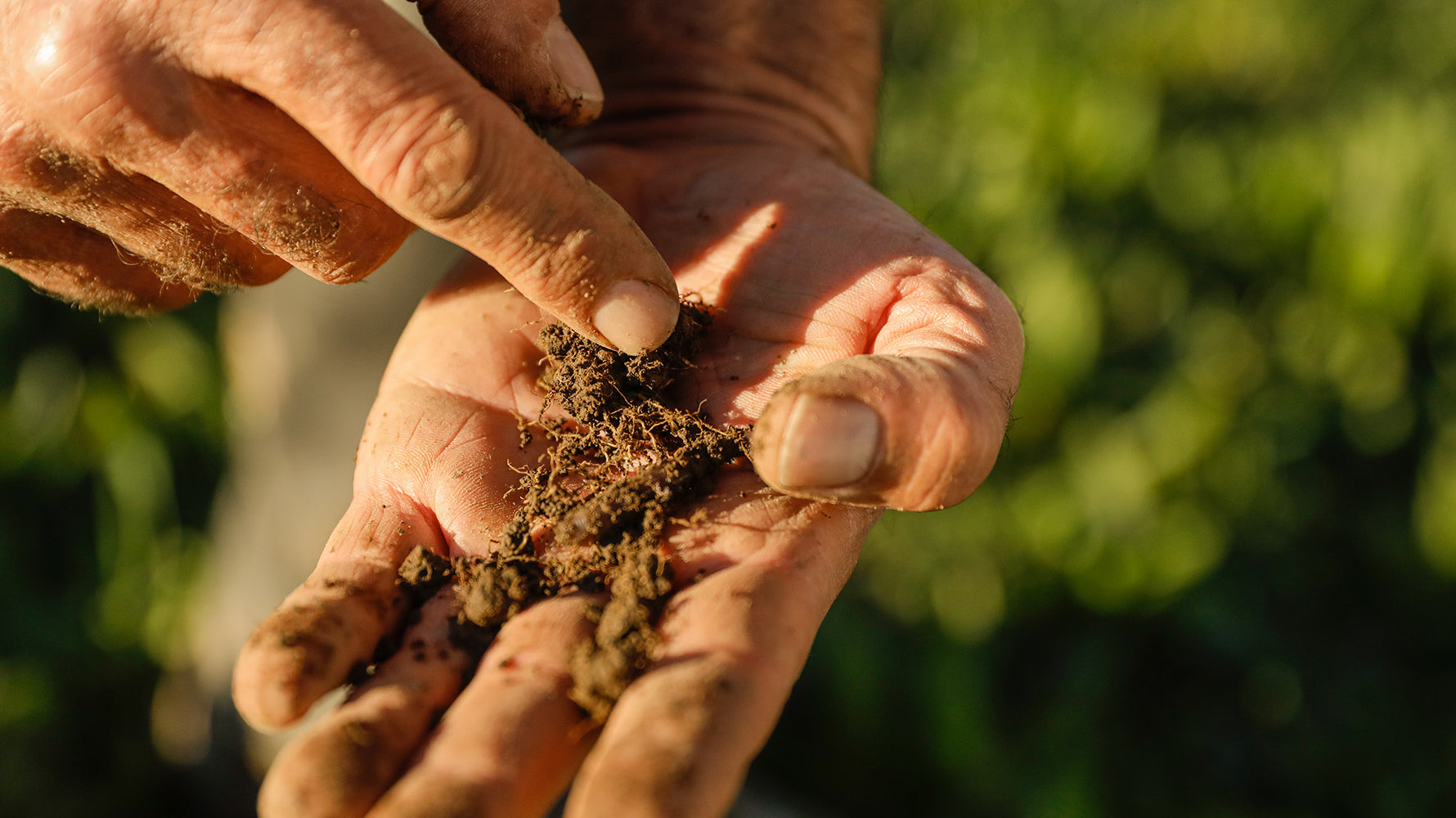 Why we should all care about World Soil Day