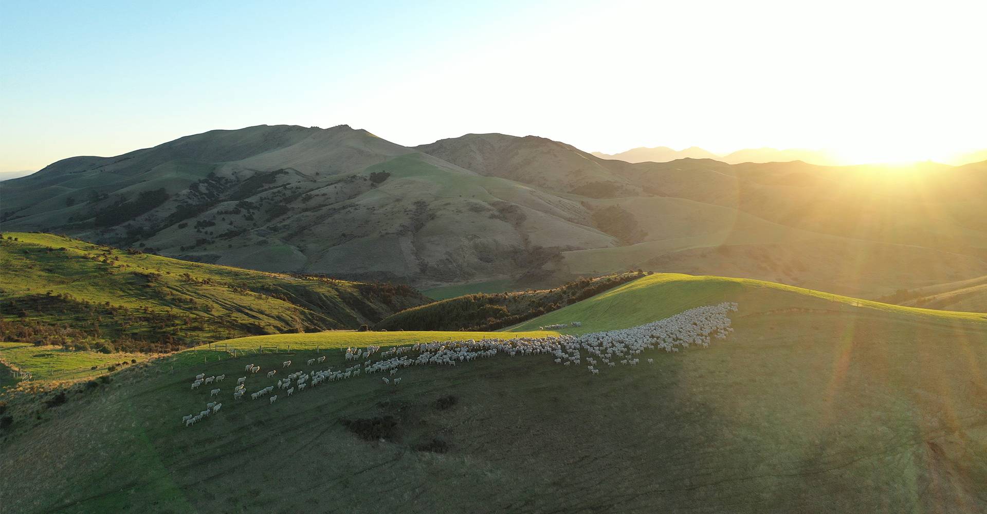 Glenthorne to Garment: The Journey of Our Merino Wool and the Role of Regenerative Farming