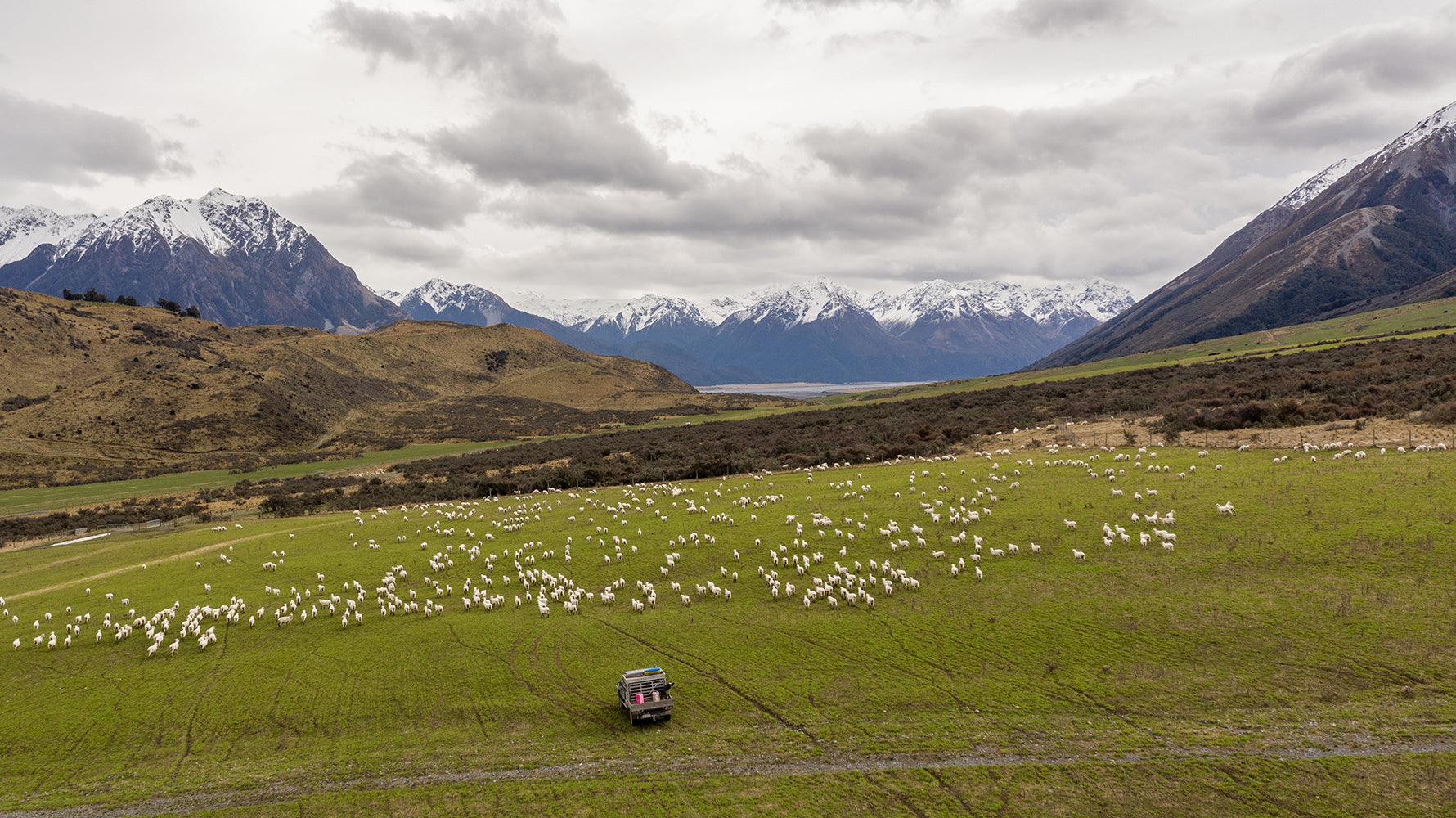 Glenthorne Station: The ecological haven where we source our merino