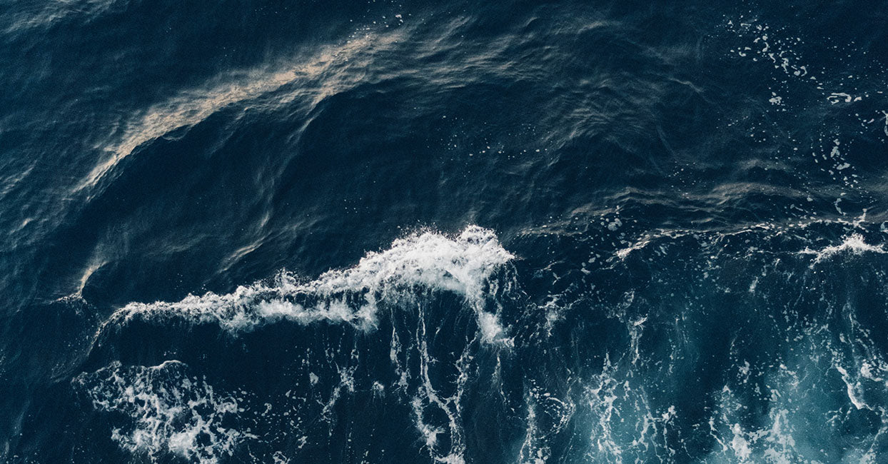 Microplastics in Fashion