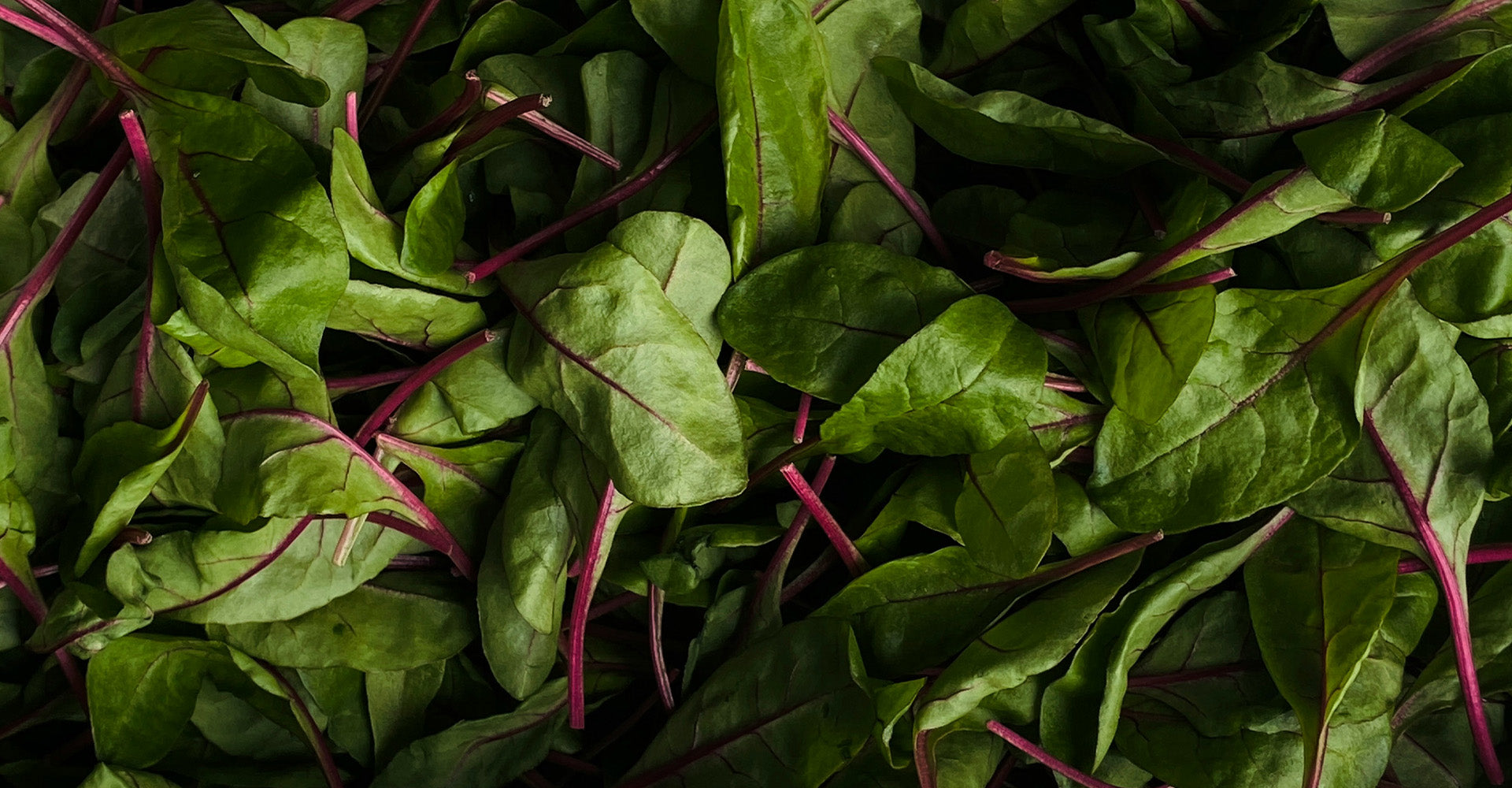 Seasonal Suppers: A Midwinter Menu