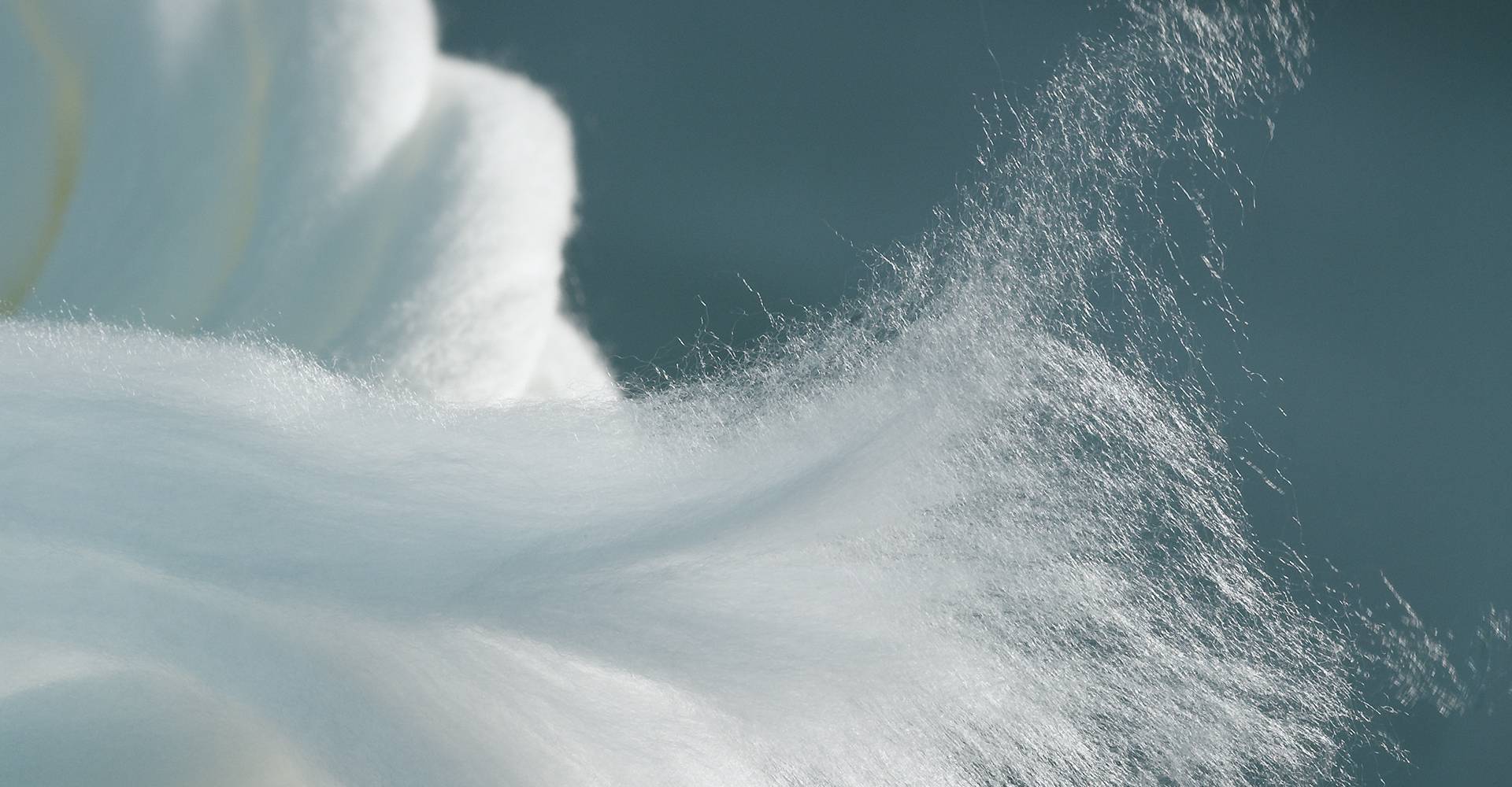 What could a sustainable fashion future look like?