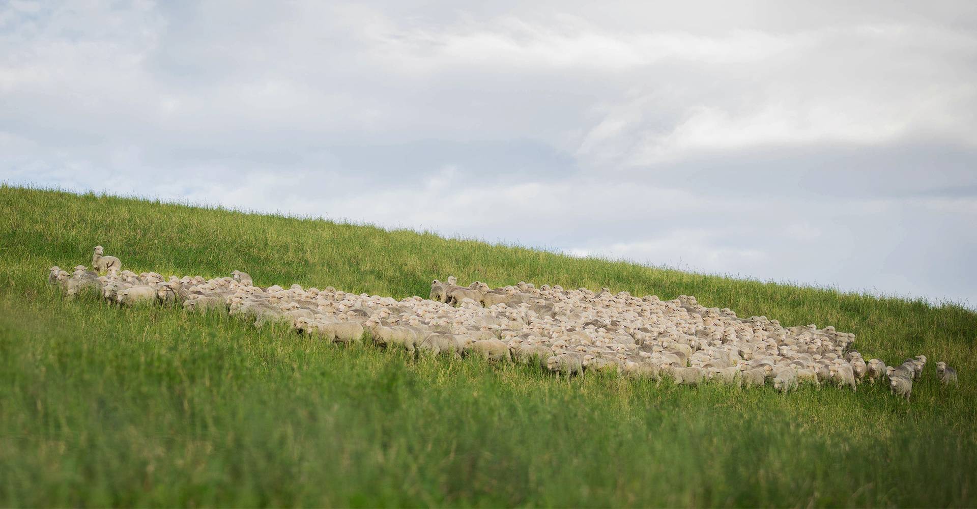 What is sustainable? A look at our certifications and standards